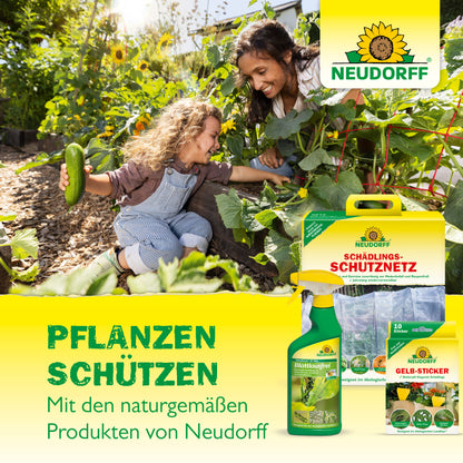 Nützlinge gegen Dickmaulrüssler