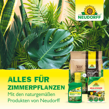 Nützlinge gegen Trauermücken