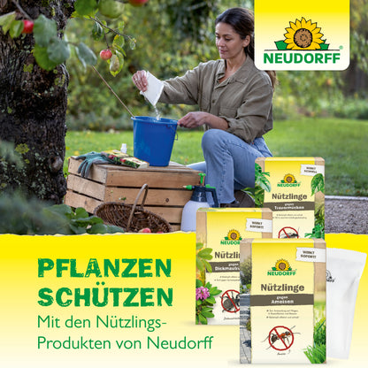 Nützlinge gegen Wiesenschnaken