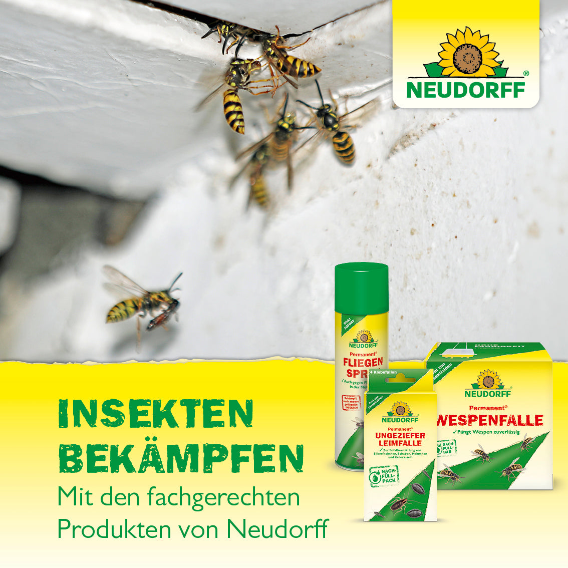 Insekten mit den fachgerechten Produkten von Neudorff bekämpfen, z.B. dem AmeisenStopp von Neudorff