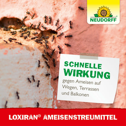Loxiran AmeisenStreumittel
