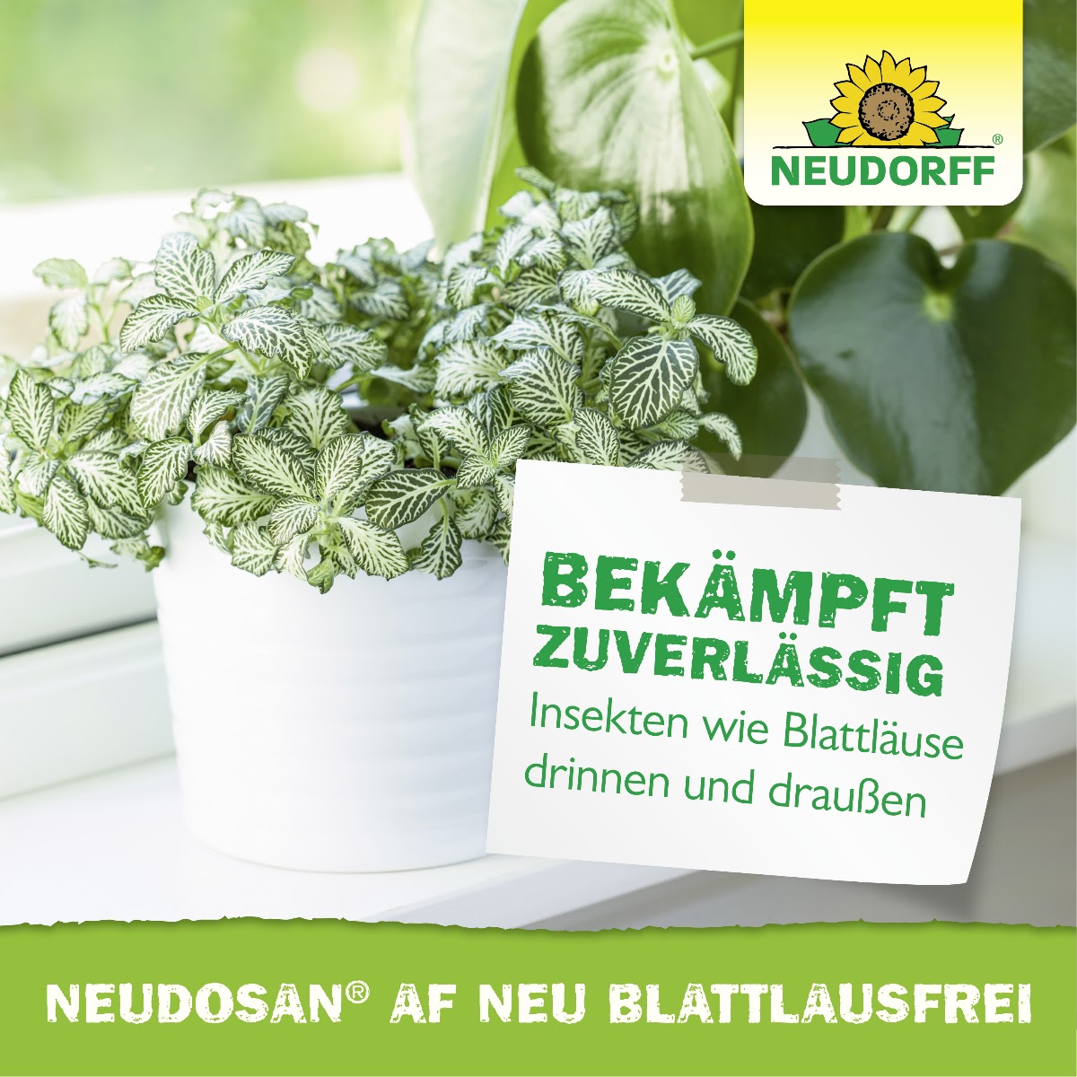 Neudosan AF Neu Blattlausfrei
Bekämpft Zuverlässig
Insekten wie Blattläuse 
drinnen und draußen