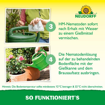 Nützlinge gegen Dickmaulrüssler
