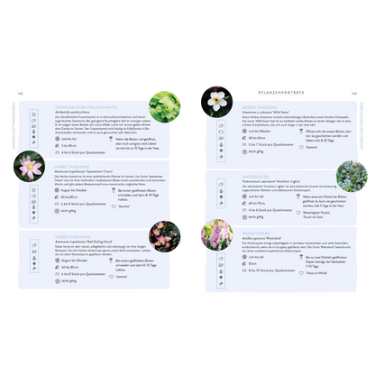 Blütenpracht und Ernteglück – Dein Weg zum Traumgarten