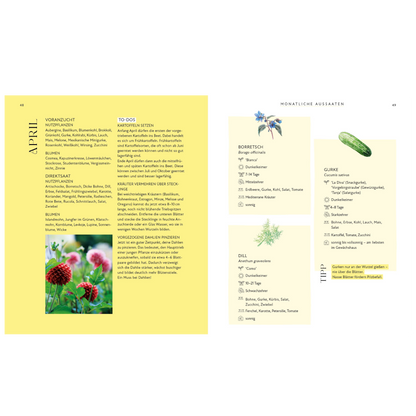 Blütenpracht und Ernteglück – Dein Weg zum Traumgarten